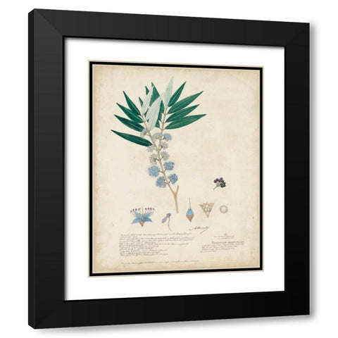 Delicate Blue Descubes I Black Modern Wood Framed Art Print with Double Matting by Descubes, A.