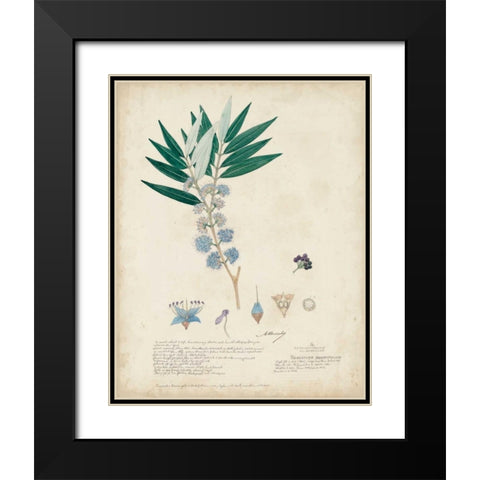 Delicate Blue Descubes I Black Modern Wood Framed Art Print with Double Matting by Descubes, A.