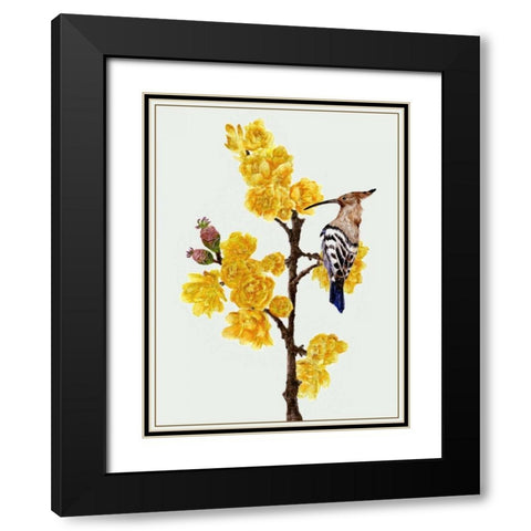 Chimonanthus Praecox II Black Modern Wood Framed Art Print with Double Matting by Wang, Melissa