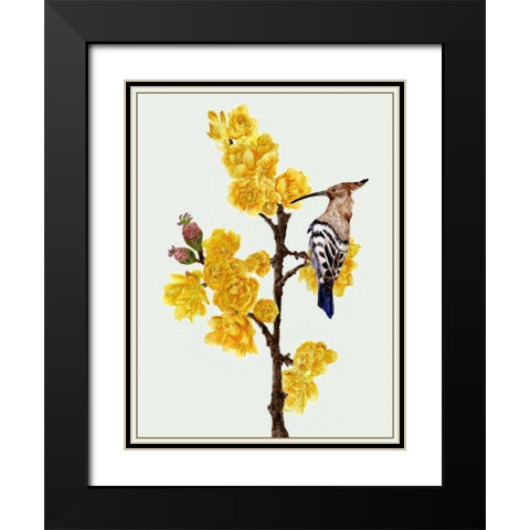 Chimonanthus Praecox II Black Modern Wood Framed Art Print with Double Matting by Wang, Melissa