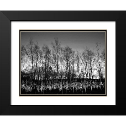 Watery Reflection Black Modern Wood Framed Art Print with Double Matting by Henson, Martin