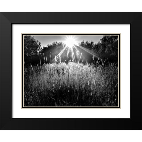 Reaching for the Sky Black Modern Wood Framed Art Print with Double Matting by Henson, Martin