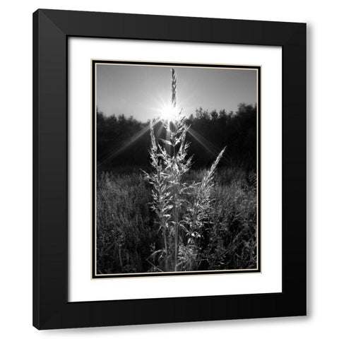 Magical Light Black Modern Wood Framed Art Print with Double Matting by Henson, Martin