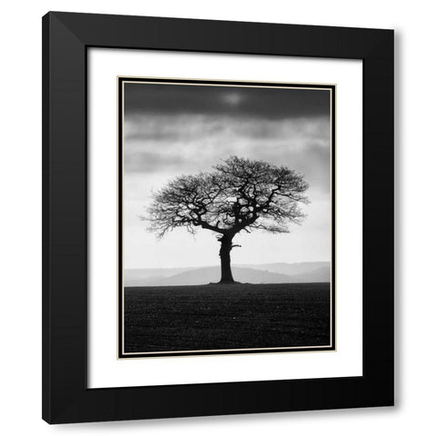 Without Leaves Black Modern Wood Framed Art Print with Double Matting by Henson, Martin