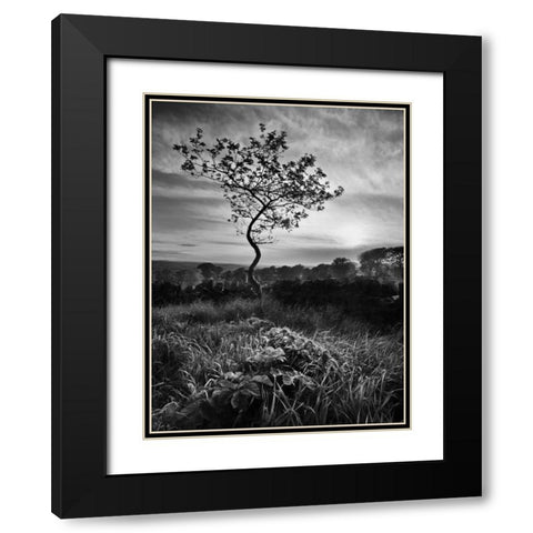 Curves Black Modern Wood Framed Art Print with Double Matting by Henson, Martin