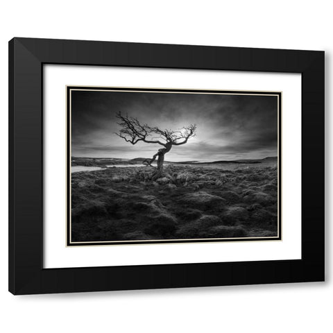Lonesome Black Modern Wood Framed Art Print with Double Matting by Henson, Martin