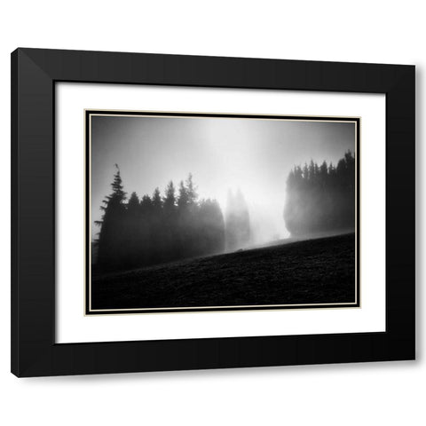 Misty Weather III Black Modern Wood Framed Art Print with Double Matting by Henson, Martin