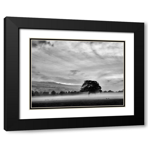 Misty Weather IV Black Modern Wood Framed Art Print with Double Matting by Henson, Martin