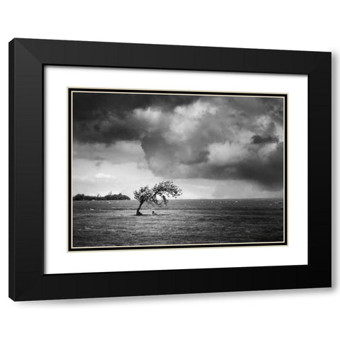 Misty Weather V Black Modern Wood Framed Art Print with Double Matting by Henson, Martin