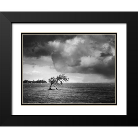 Misty Weather V Black Modern Wood Framed Art Print with Double Matting by Henson, Martin