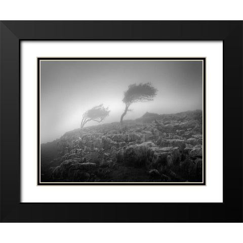 Misty Weather VI Black Modern Wood Framed Art Print with Double Matting by Henson, Martin