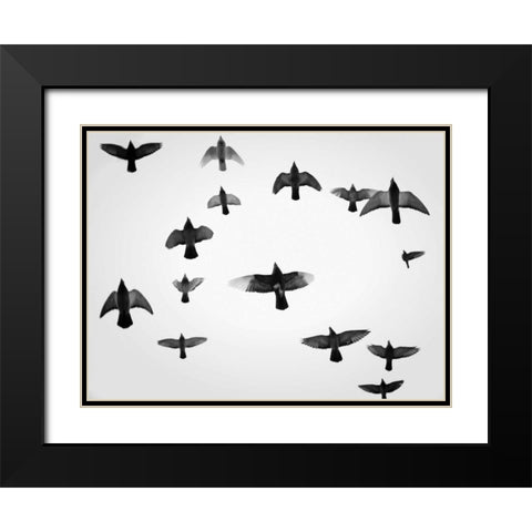 In the Skies I Black Modern Wood Framed Art Print with Double Matting by Henson, Martin