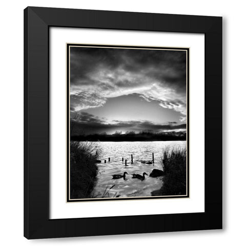 Swimming Pool Black Modern Wood Framed Art Print with Double Matting by Henson, Martin