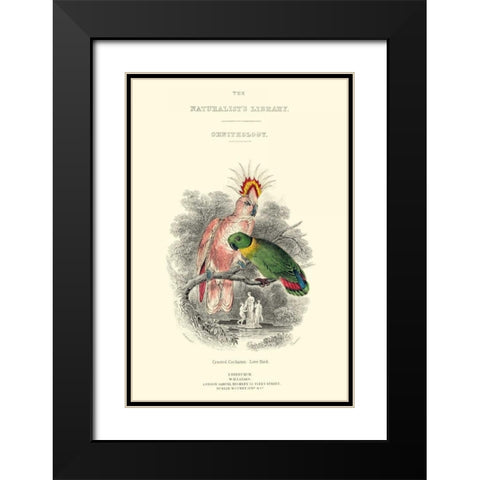 The Naturalists Library II Black Modern Wood Framed Art Print with Double Matting by Lizars, W.H.