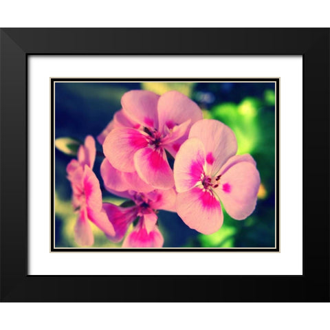 Pink Blossom II Black Modern Wood Framed Art Print with Double Matting by Bell, Lillian