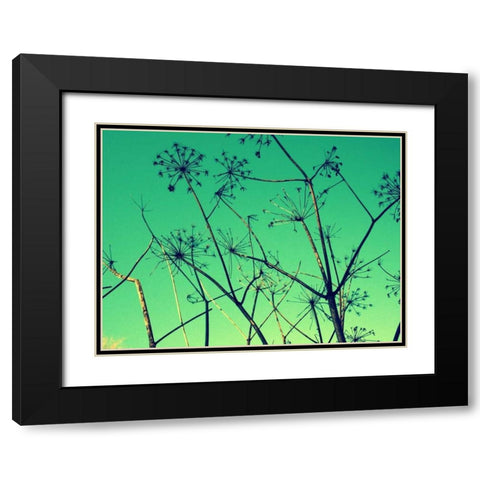 Cow Parsley I Black Modern Wood Framed Art Print with Double Matting by Bell, Lillian