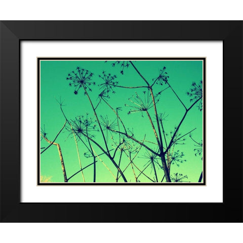Cow Parsley I Black Modern Wood Framed Art Print with Double Matting by Bell, Lillian