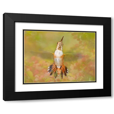 The Flower Dance IV Black Modern Wood Framed Art Print with Double Matting by Robertson, Leda