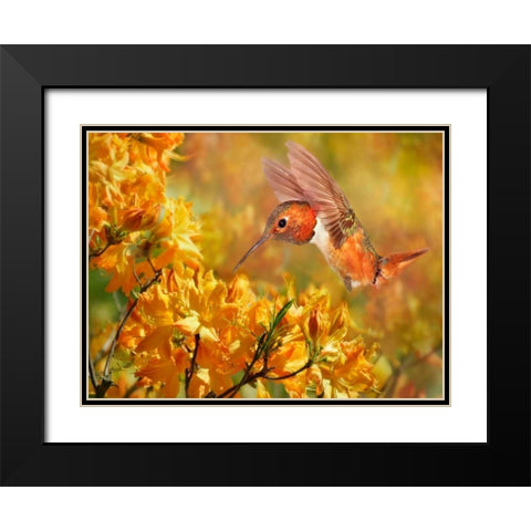 The Flower Dance XI Black Modern Wood Framed Art Print with Double Matting by Robertson, Leda