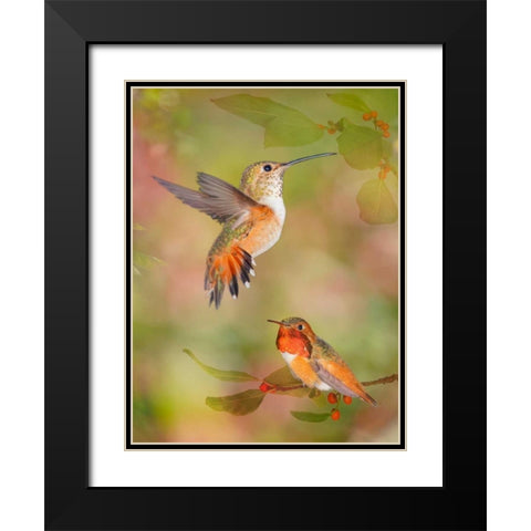 The Flower Dance XVI Black Modern Wood Framed Art Print with Double Matting by Robertson, Leda