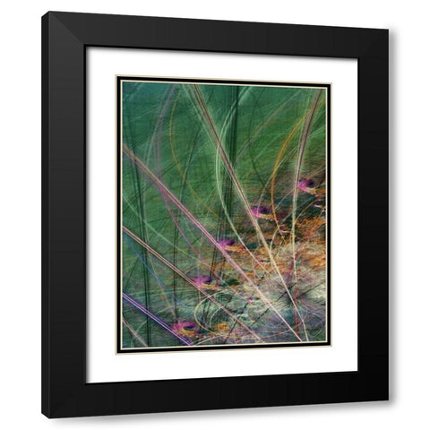 Wetland Vector II Black Modern Wood Framed Art Print with Double Matting by Burghardt, James