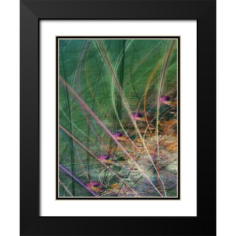Wetland Vector II Black Modern Wood Framed Art Print with Double Matting by Burghardt, James