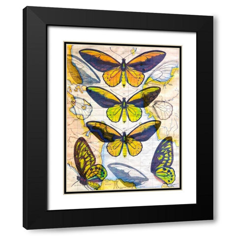 Butterfly Map I Black Modern Wood Framed Art Print with Double Matting by Butler, John