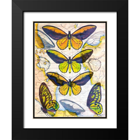 Butterfly Map I Black Modern Wood Framed Art Print with Double Matting by Butler, John