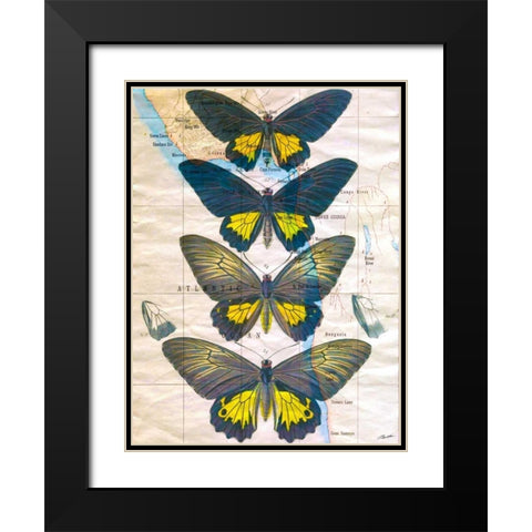 Butterfly Map II Black Modern Wood Framed Art Print with Double Matting by Butler, John
