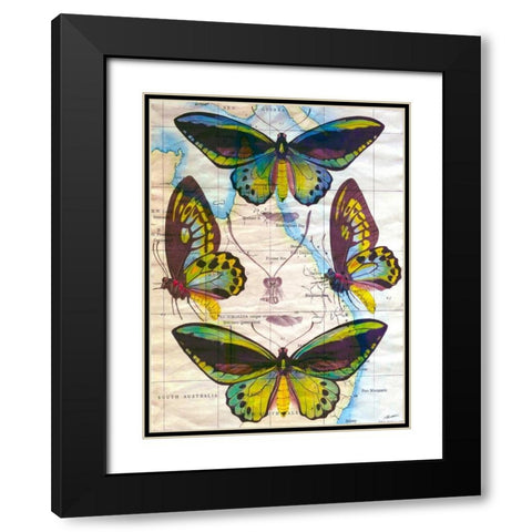 Butterfly Map III Black Modern Wood Framed Art Print with Double Matting by Butler, John