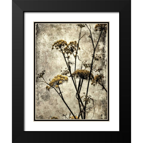Big Sur Yarrow II Black Modern Wood Framed Art Print with Double Matting by Malek, Honey