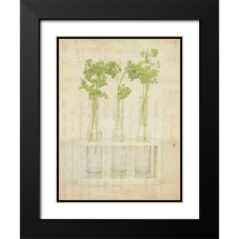 Herb Still Life I Black Modern Wood Framed Art Print with Double Matting by Orlov, Irena