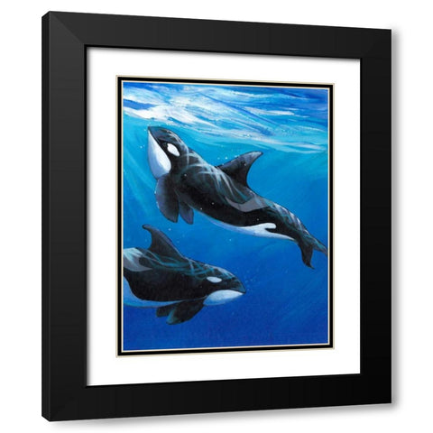 Under Sea Whales II Black Modern Wood Framed Art Print with Double Matting by OToole, Tim