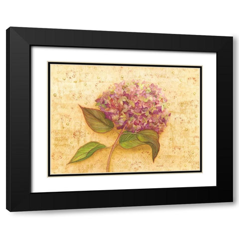 Hydrangea Love I Black Modern Wood Framed Art Print with Double Matting by Russell, Wendy