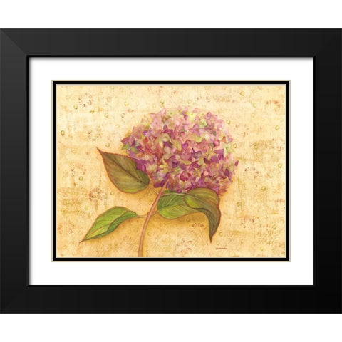 Hydrangea Love I Black Modern Wood Framed Art Print with Double Matting by Russell, Wendy
