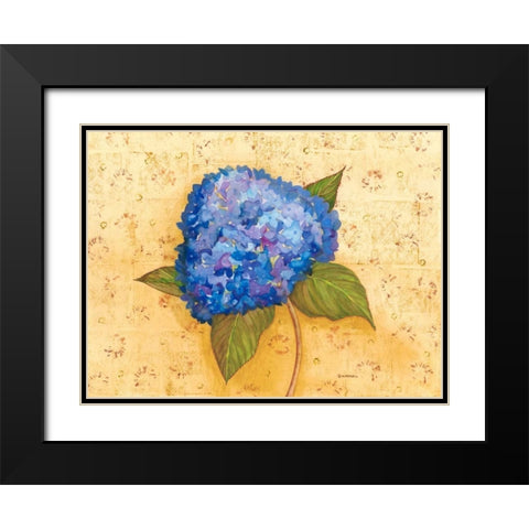 Hydrangea Love II Black Modern Wood Framed Art Print with Double Matting by Russell, Wendy