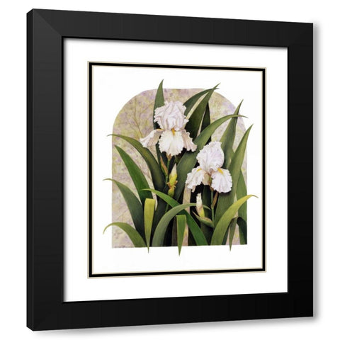 Iris Vignette Black Modern Wood Framed Art Print with Double Matting by Matcham, Marcia