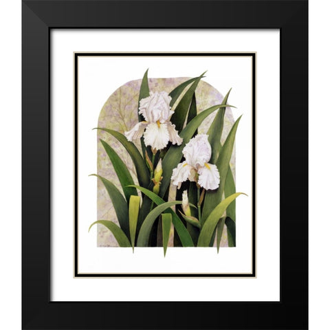 Iris Vignette Black Modern Wood Framed Art Print with Double Matting by Matcham, Marcia