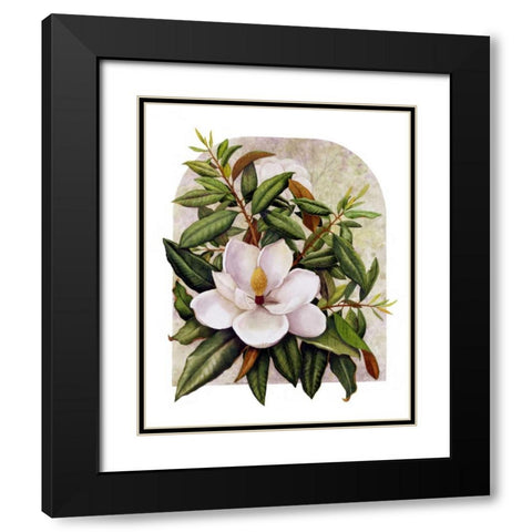 Magnolia Vignette Black Modern Wood Framed Art Print with Double Matting by Matcham, Marcia