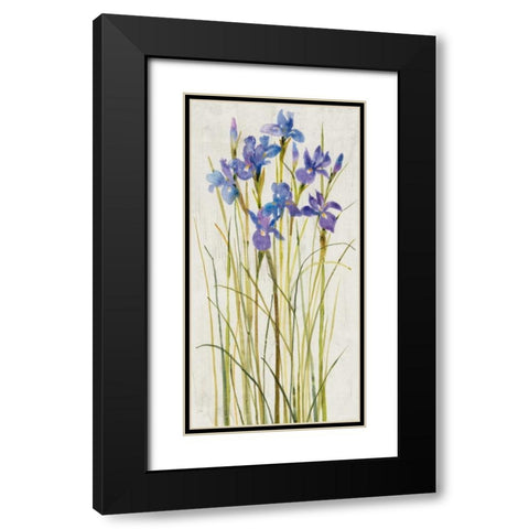 Iris Patch I Black Modern Wood Framed Art Print with Double Matting by OToole, Tim
