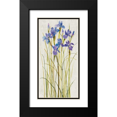 Iris Patch I Black Modern Wood Framed Art Print with Double Matting by OToole, Tim