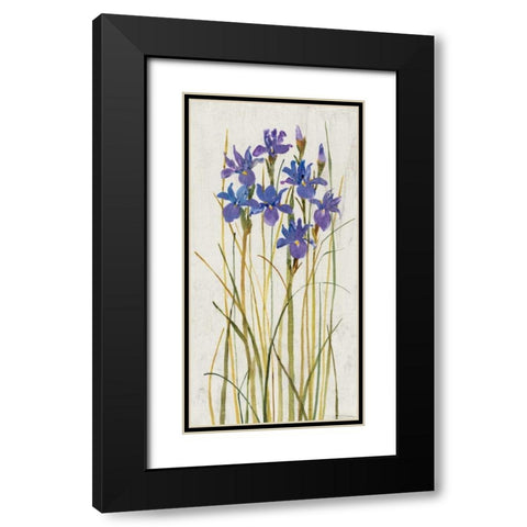 Iris Patch II Black Modern Wood Framed Art Print with Double Matting by OToole, Tim
