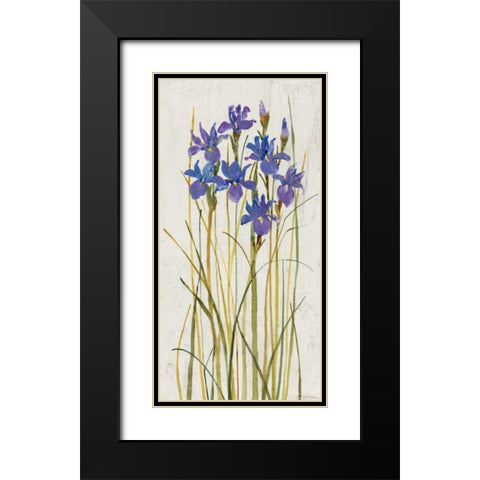 Iris Patch II Black Modern Wood Framed Art Print with Double Matting by OToole, Tim