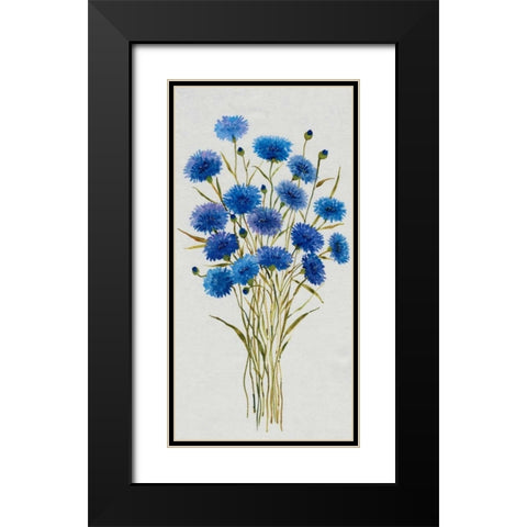 Cornflower Patch I Black Modern Wood Framed Art Print with Double Matting by OToole, Tim