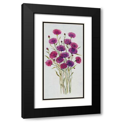 Cornflower Patch II Black Modern Wood Framed Art Print with Double Matting by OToole, Tim