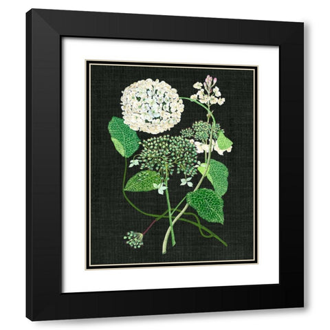 White Hydrangea Study I Black Modern Wood Framed Art Print with Double Matting by Wang, Melissa