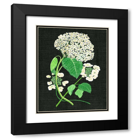 White Hydrangea Study II Black Modern Wood Framed Art Print with Double Matting by Wang, Melissa