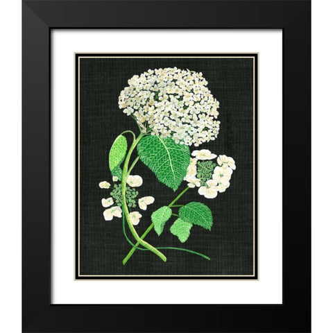 White Hydrangea Study II Black Modern Wood Framed Art Print with Double Matting by Wang, Melissa