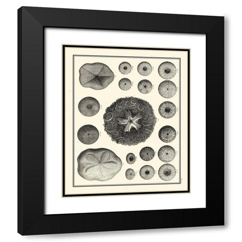 Small Aegean Collection I Black Modern Wood Framed Art Print with Double Matting by Vision Studio