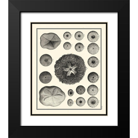 Small Aegean Collection I Black Modern Wood Framed Art Print with Double Matting by Vision Studio